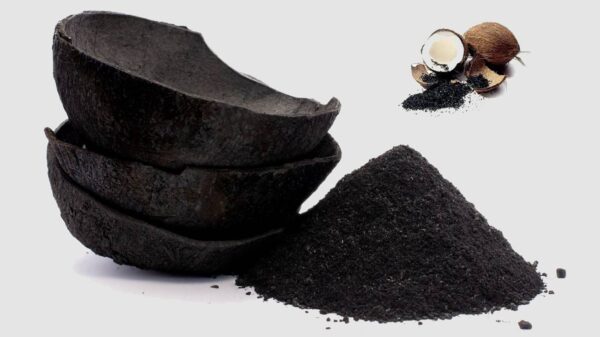 Coconut shell Charcoal