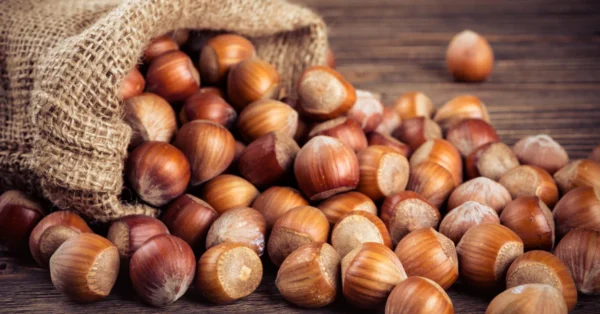 Hazelnuts for Sale