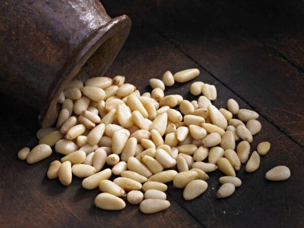 Fresh Pine Nuts for Sale